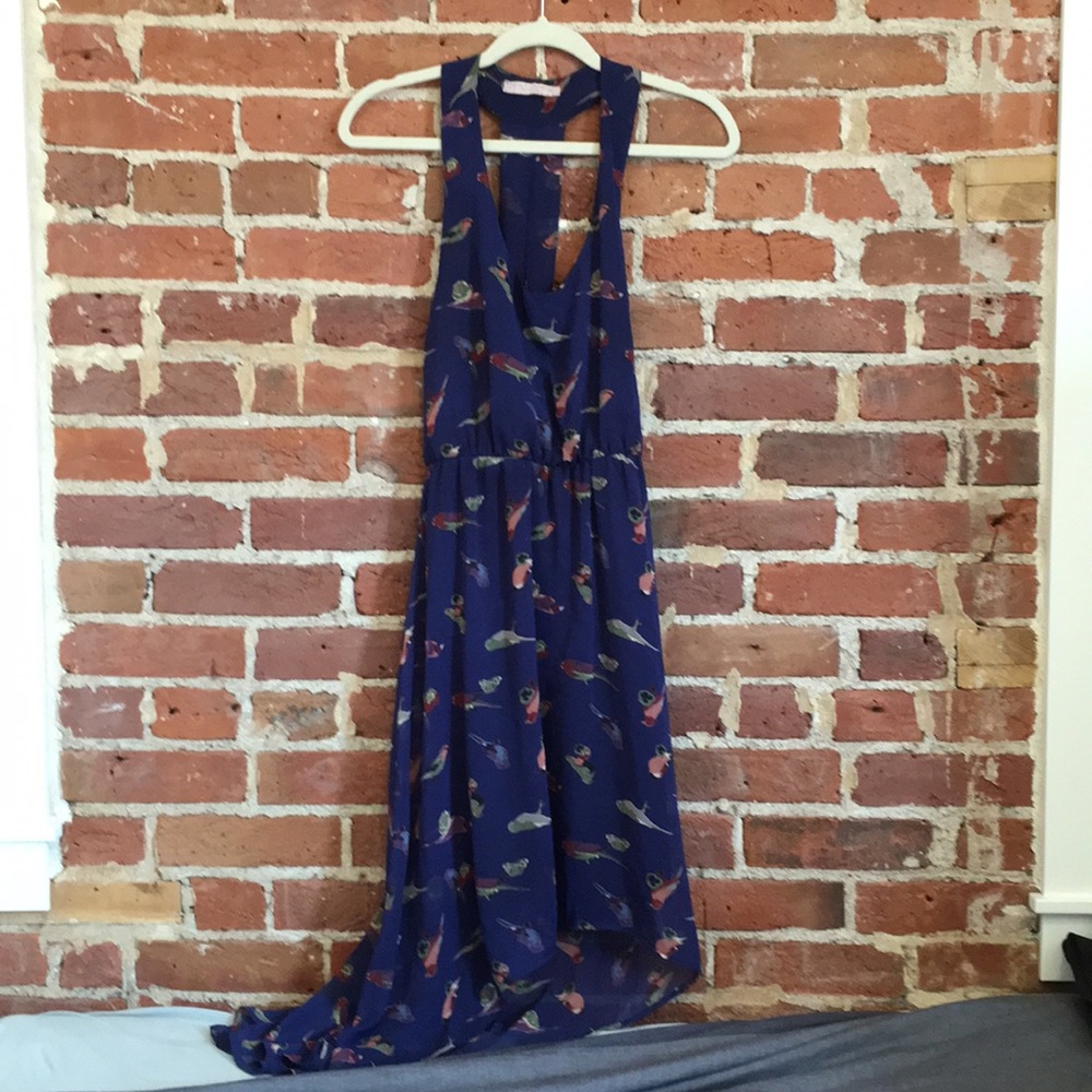 Urban Outfitters high low bird print blue dress